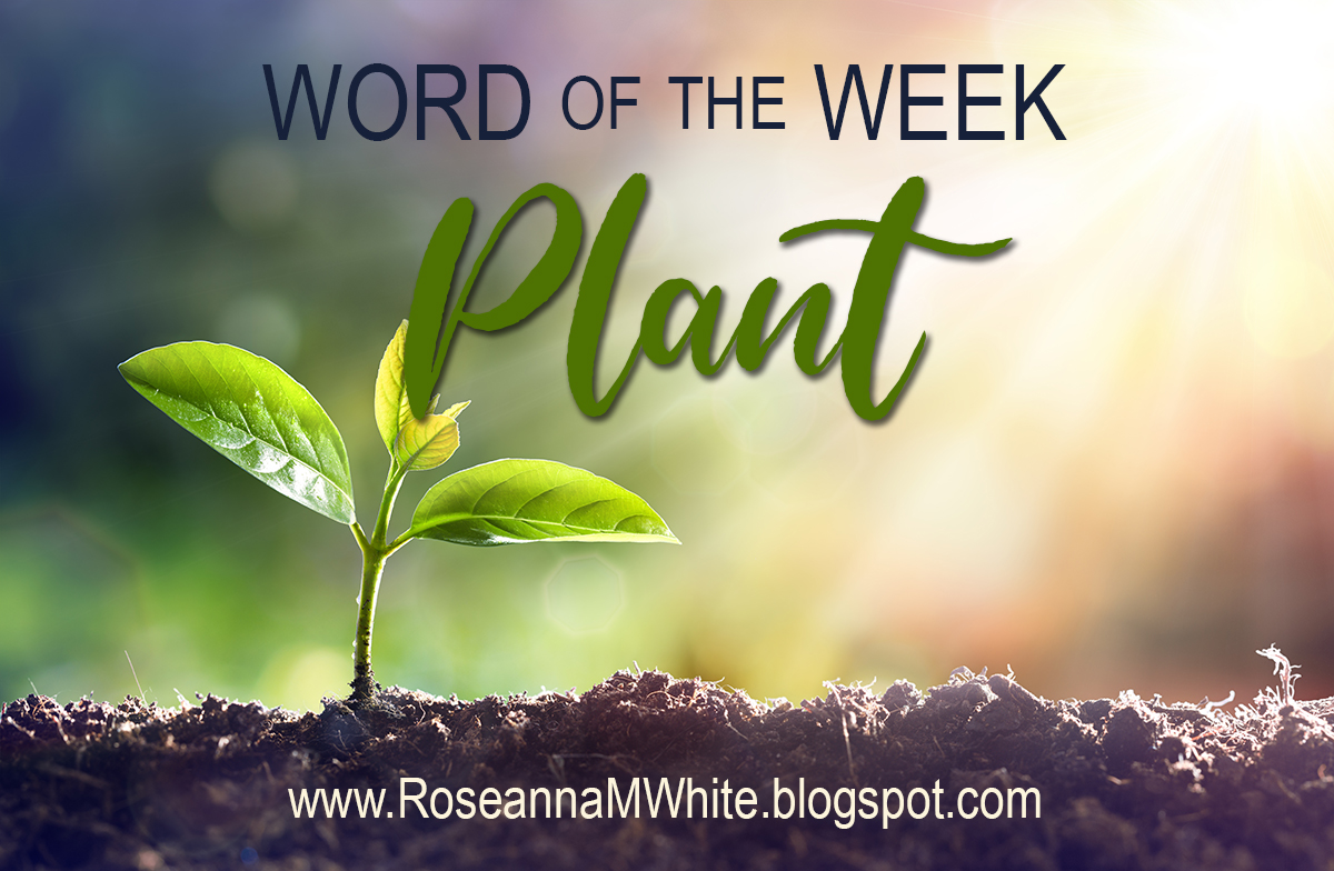 Word Of The Week Plant Roseanna M White