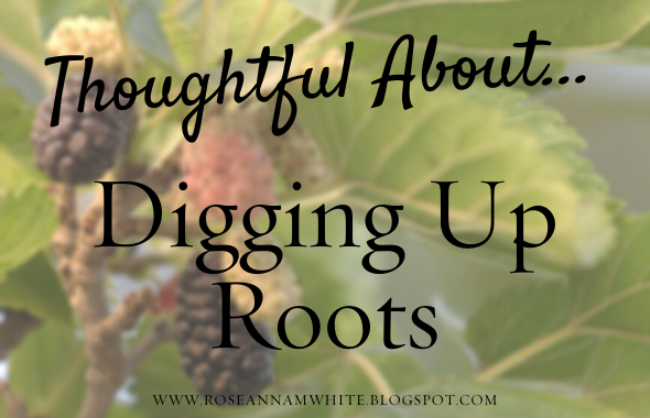 Digging Out Roots