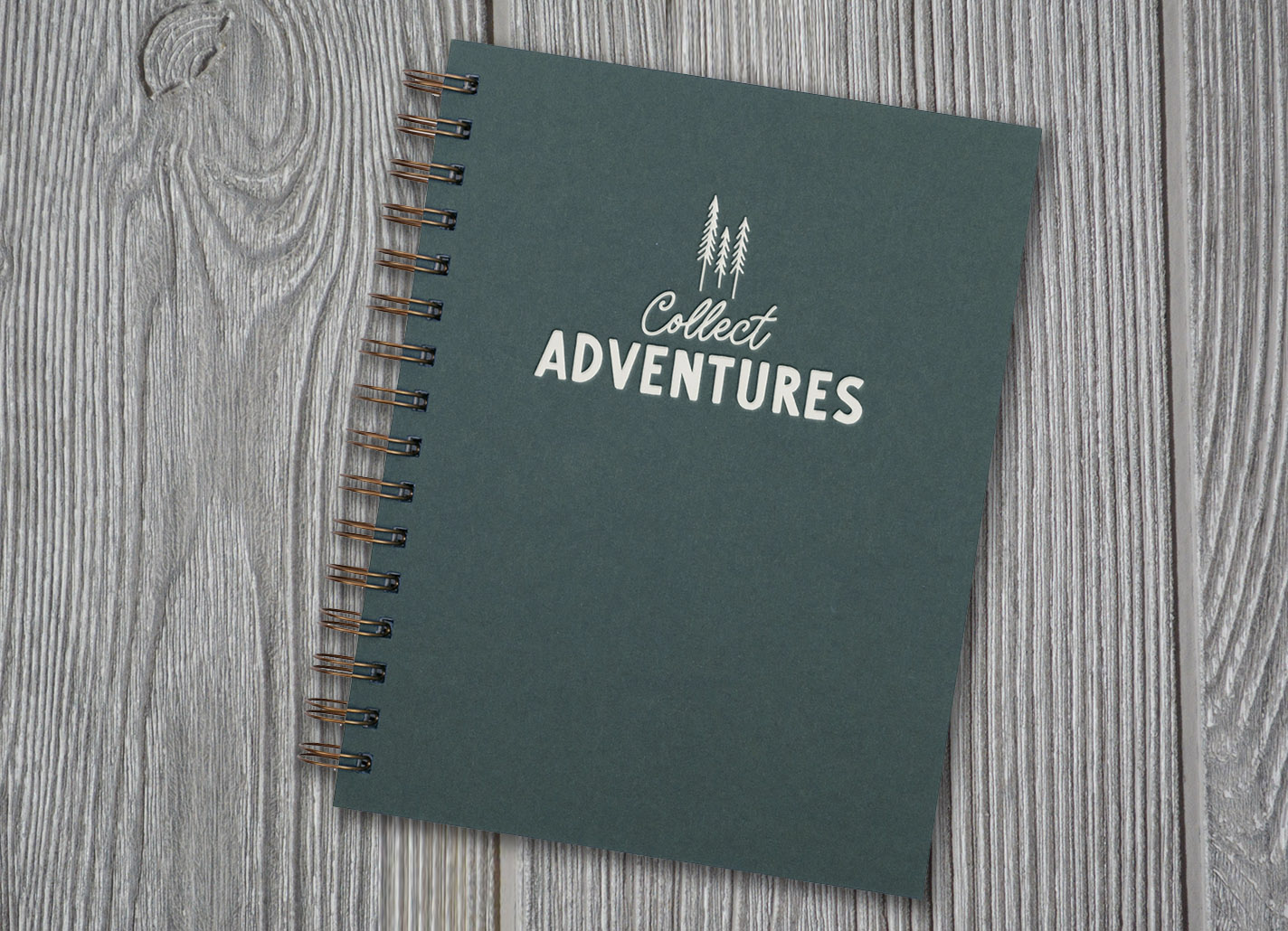 Collect Adventures Journal - Roseanna M. White